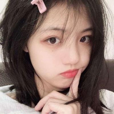 翼龙